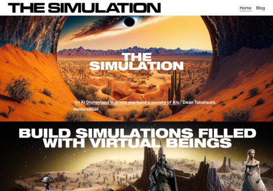 The Simulation